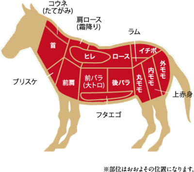 馬刺し　たてがみ コウネ　部位