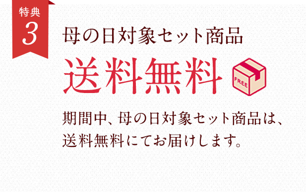 母の日対象セット商品 送料無料