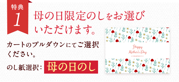 「母の日専用のし」でお届け