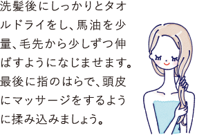 洗髪後にしっかりとタオルドライをし､ 馬油を少量､毛先から少しずつ伸ばすようになじませます。最後に指のはらで、頭皮
            にマッサージをするように揉み込みましょう。