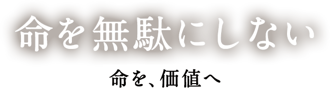 その他菅乃屋の取り組み
