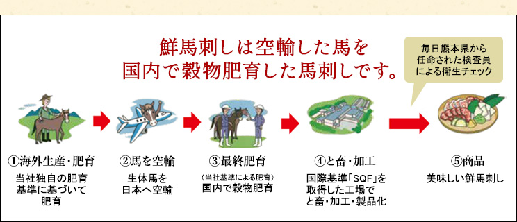 鮮馬刺しは空輸した馬を国内で穀物飼育した馬刺しです