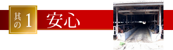 å®å¿